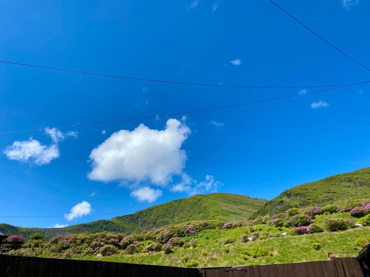 Antur Cottage Blaenau Ffestiniog Exterior foto